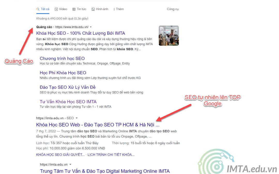 Kết quả SEO và quảng cáo Google Ads