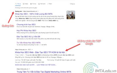 SEO là gì? Học & làm thế nào để trở thành SEOer giỏi với nghề