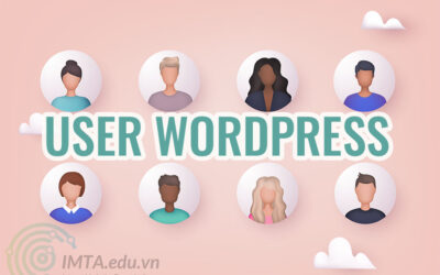 Phân biệt quyền User thành viên trên Website WordPress
