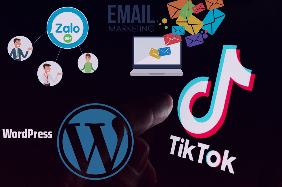 Học trực tuyến Zalo, Tiktok, Email Marketing, WordPress