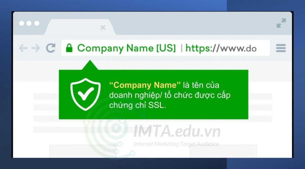 SSL là gì? Những loại Chứng chỉ số SSL/TLS thông dụng cho website