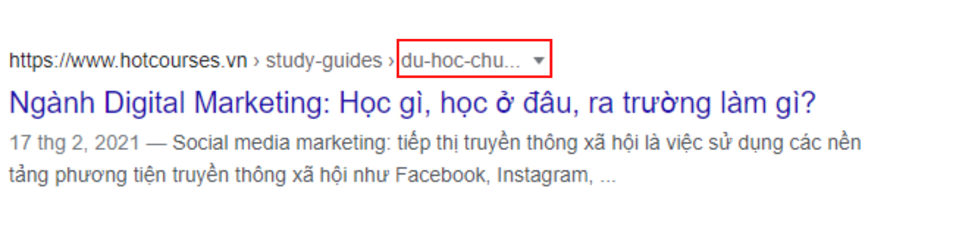 URL bị cắt bớt đi vì quá dài