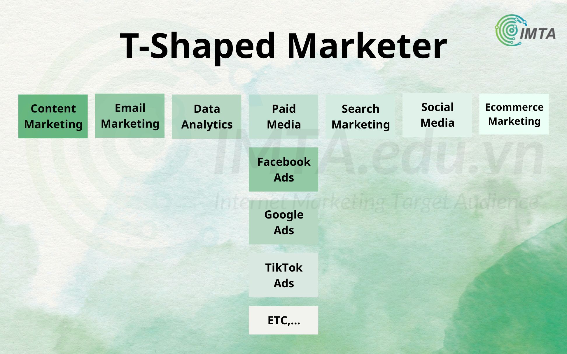 mô hình T-Shaped Marketer