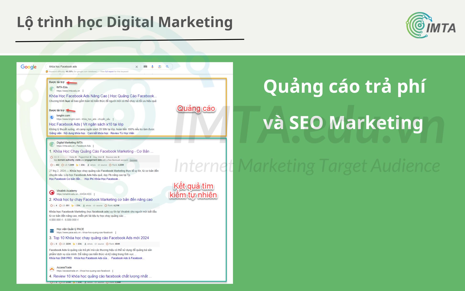 Quảng cáo trả phí và SEO