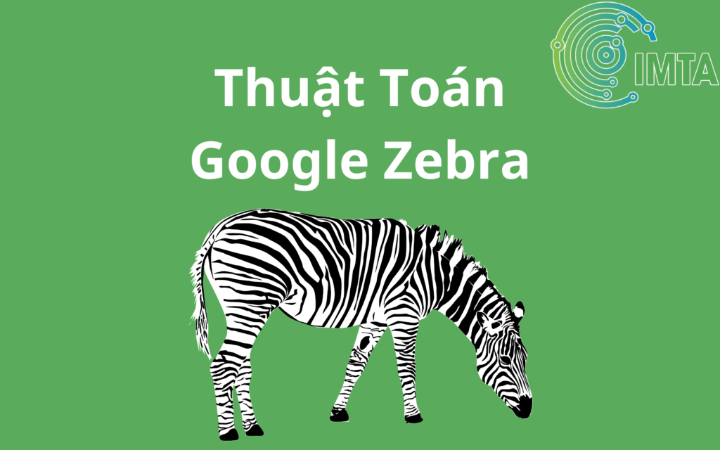 Thuật toán Google Zebra