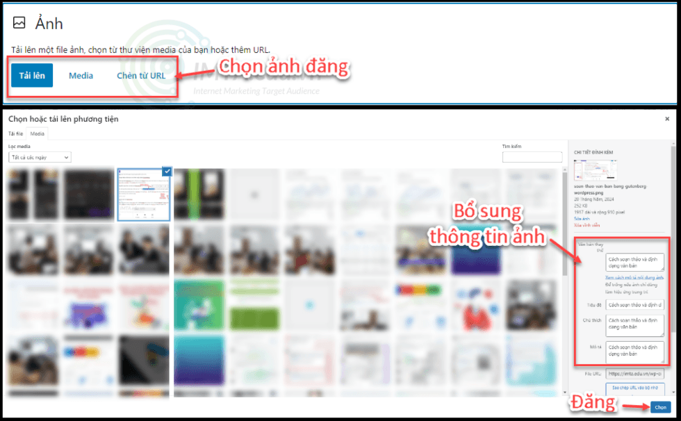 Hướng dẫn tạo và đăng bài viết trên Website Wordpress