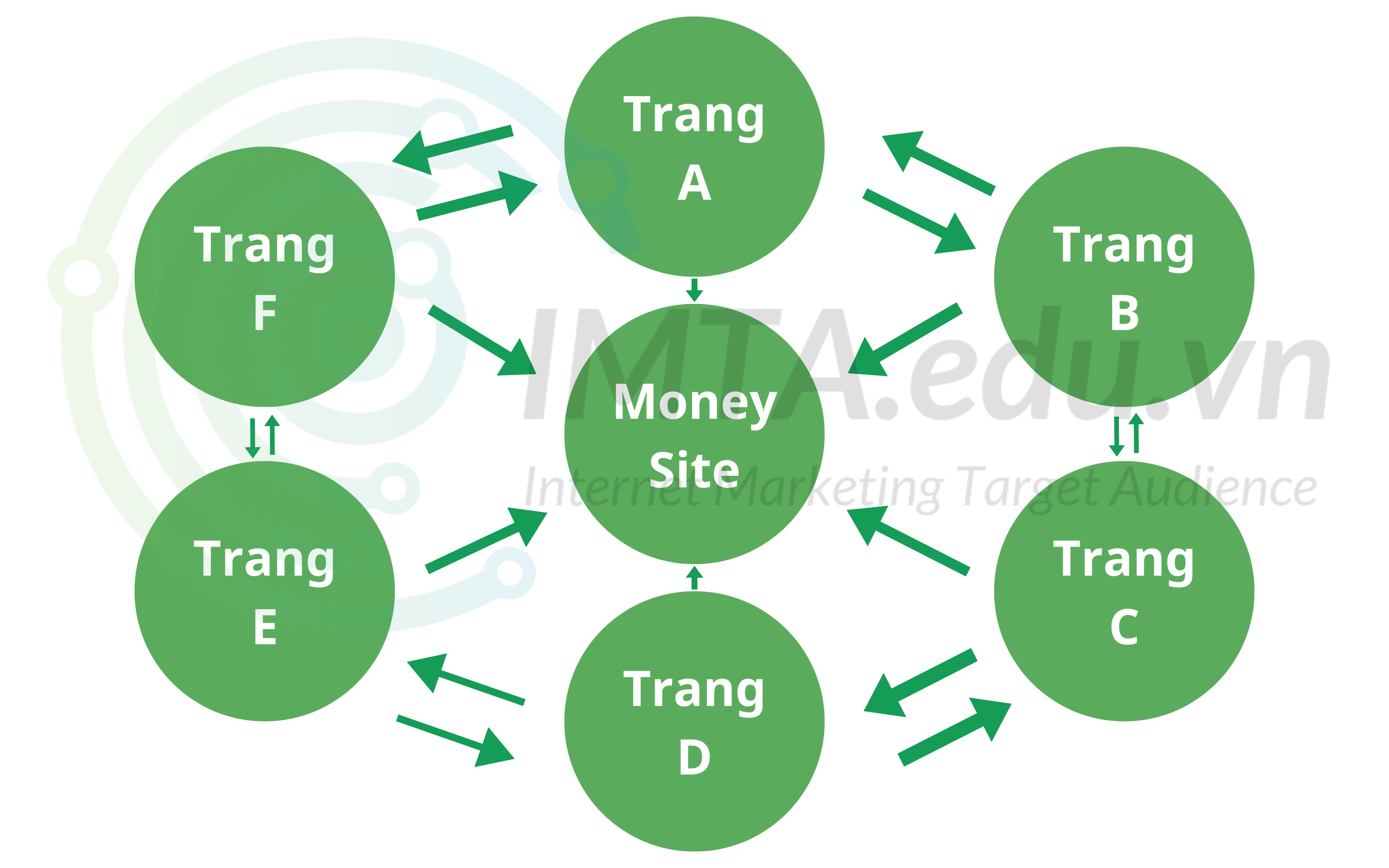 Mô hình Backlink Wheel Link