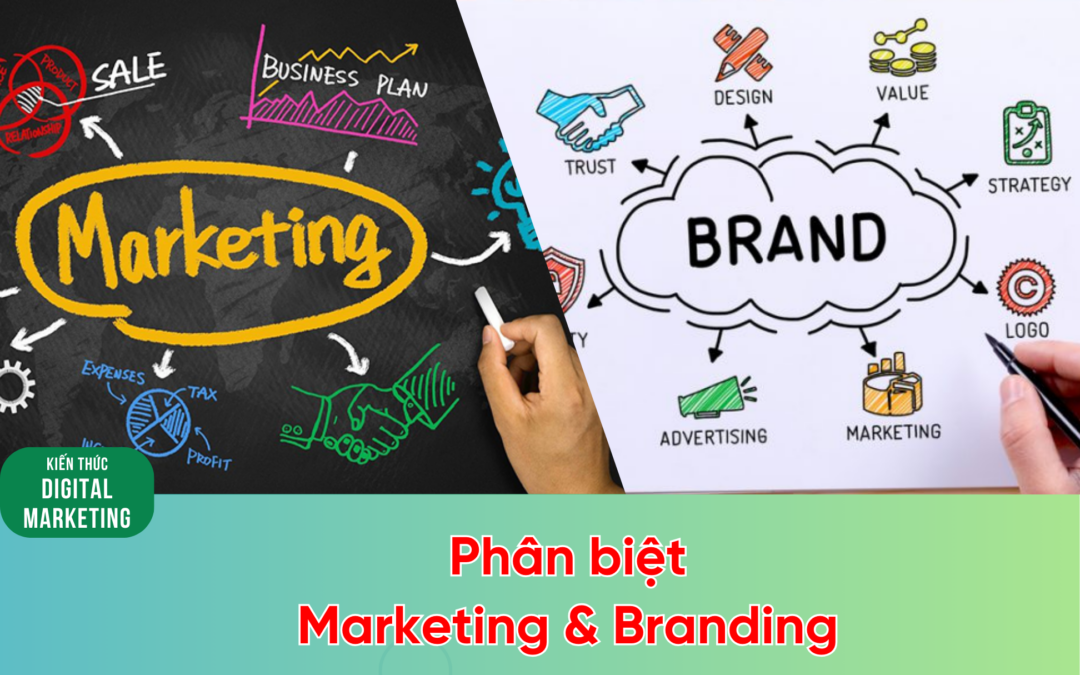 Phân biệt Marketing và Branding