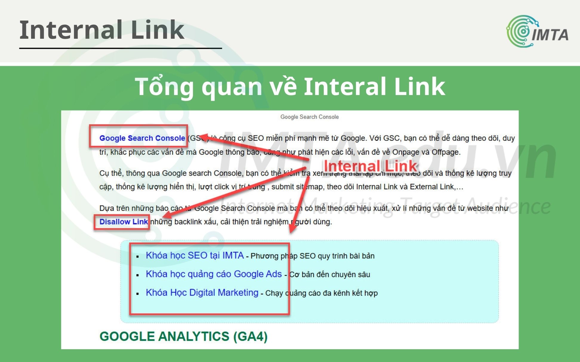 Tổng quan về Interal Link