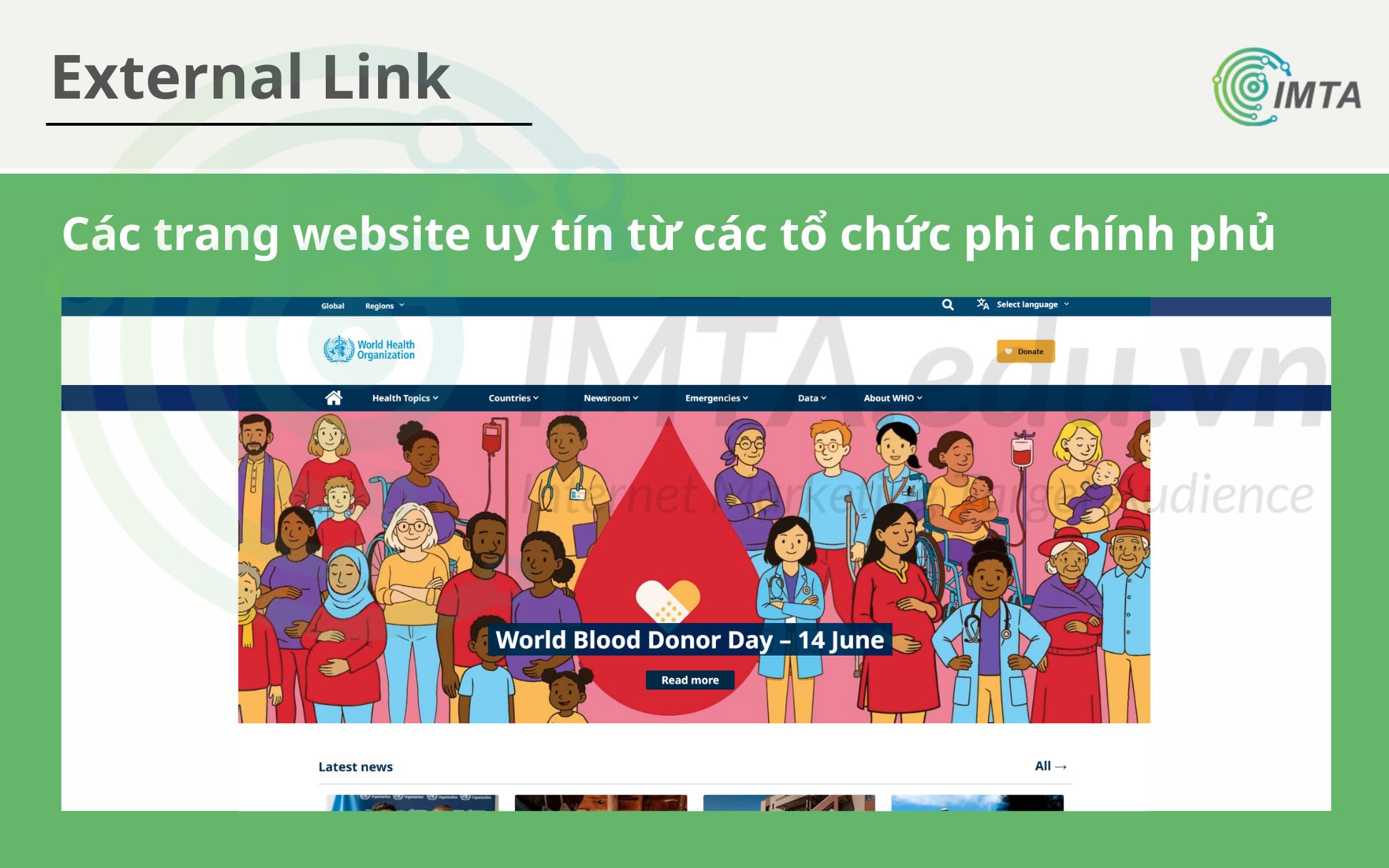 Các trang website uy tín từ các tổ chức phi chính phủ