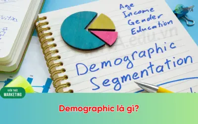 Demographic là gì? Vai trò Demographic trong Marketing