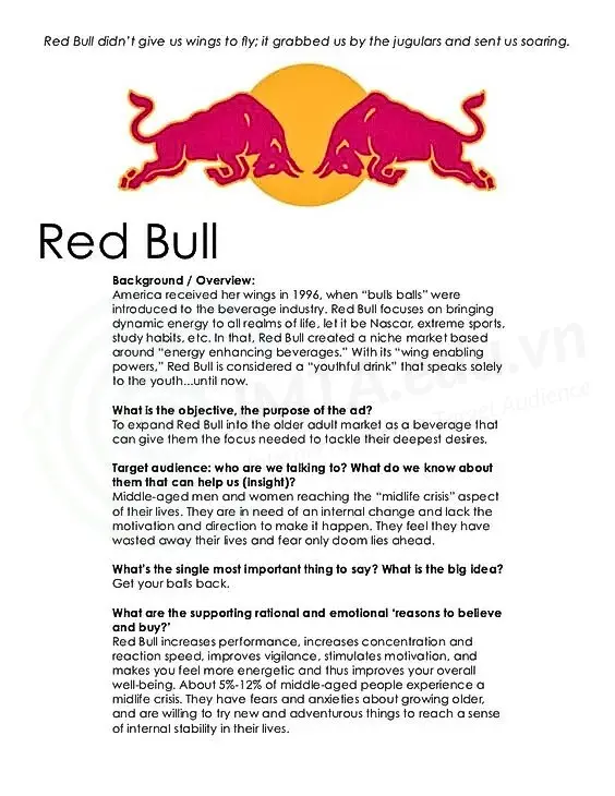 Ví dụ về mẫu Communication brief của Red Bull.