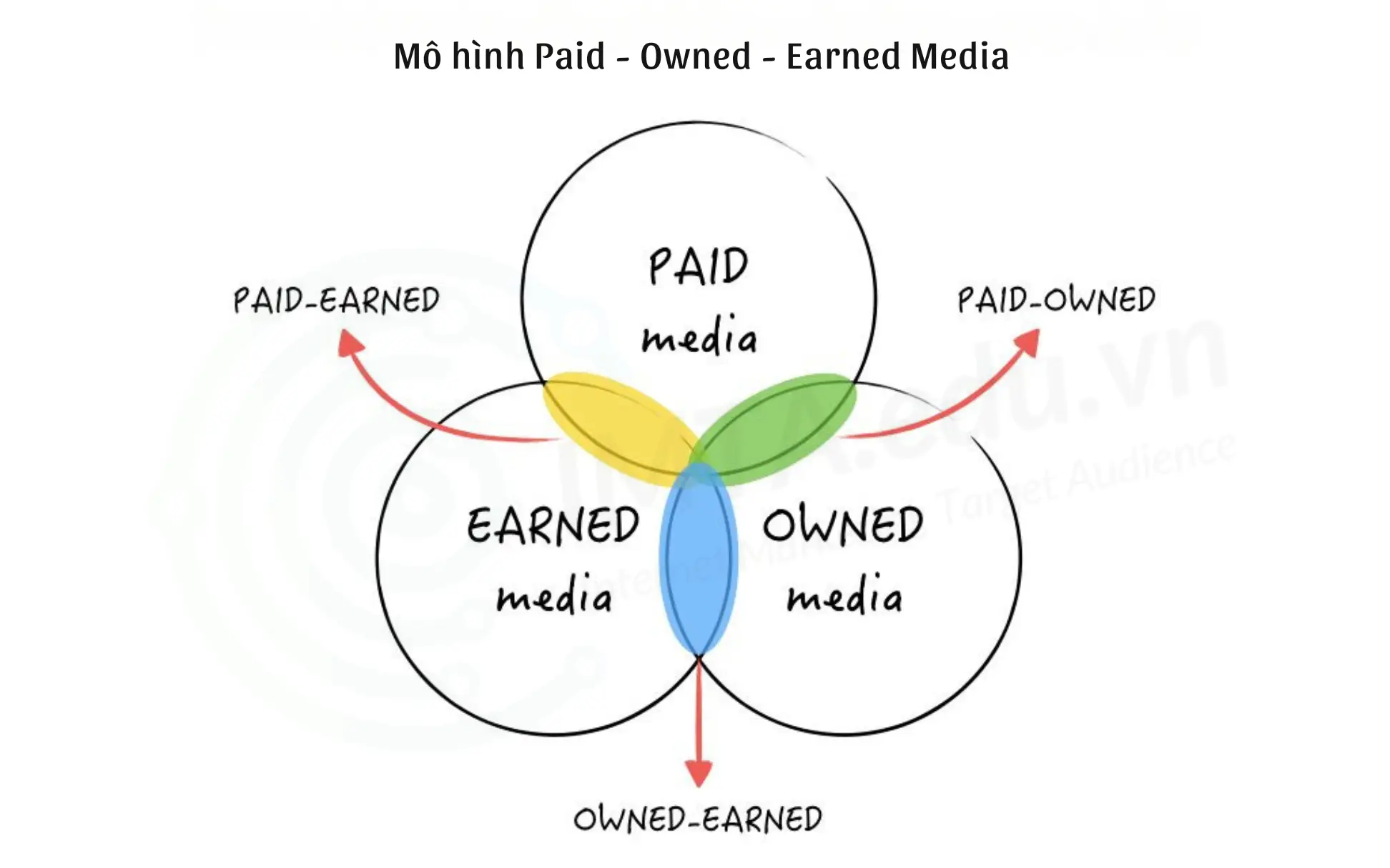 Mô hình Paid - Owned - Earned Media là gì?