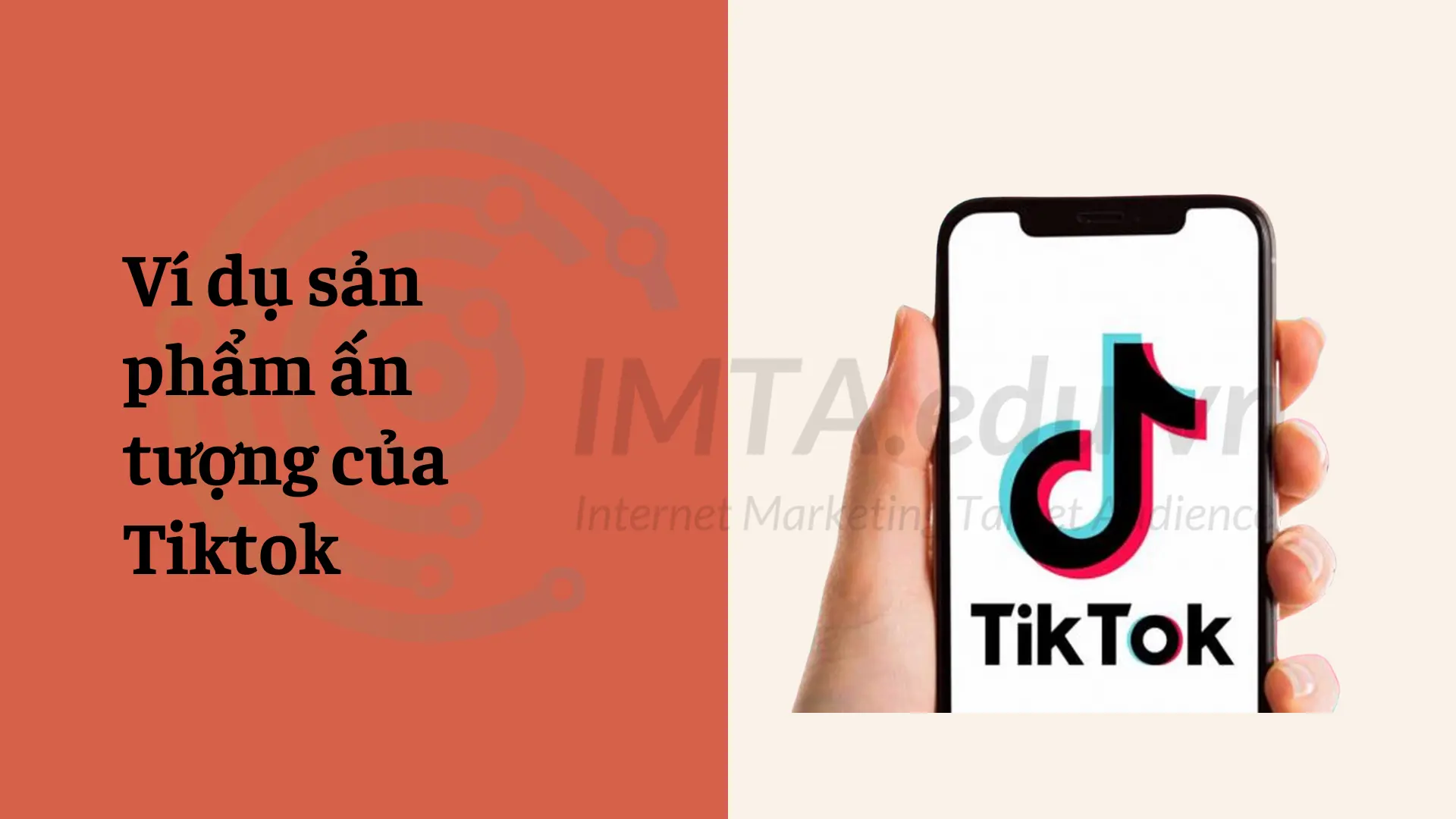 Ví dụ sản phẩm ấn tượng của Tiktok