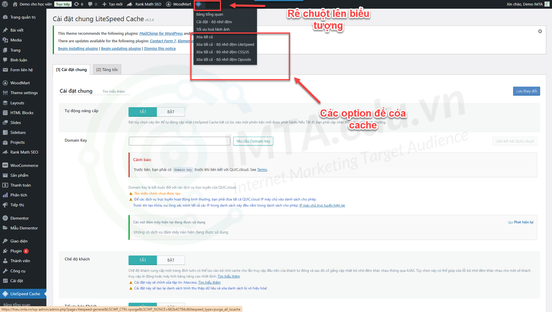 Xóa cache trên LiteSpeed Cache