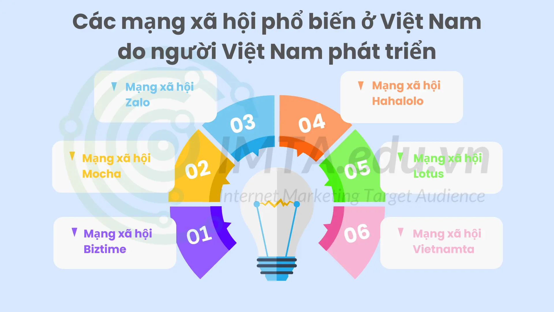 Các mạng xã hội phổ biến ở Việt Nam do người Việt Nam phát triển