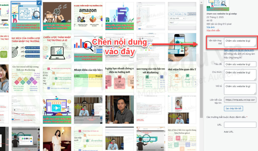 Sau đó chèn nội dung tương ứng vào