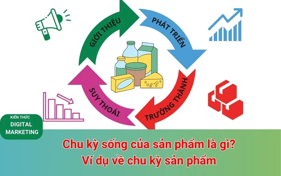 Chu kỳ sống của sản phẩm