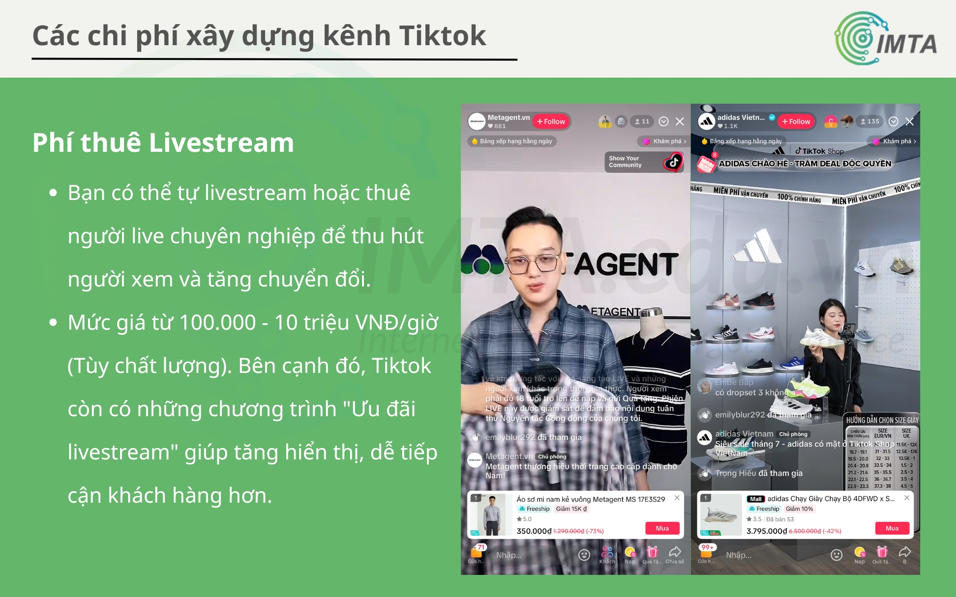 Phí thuê livestream bán hàng TikTok