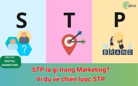STP là gì trong Marketing? Ví dụ về chiến lược STP