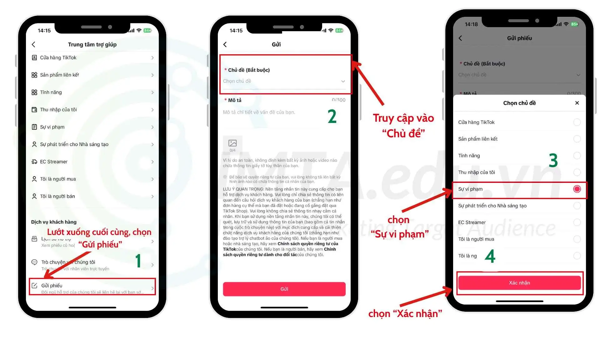 Điền nội dung để gửi khiếu nại cho TikTok