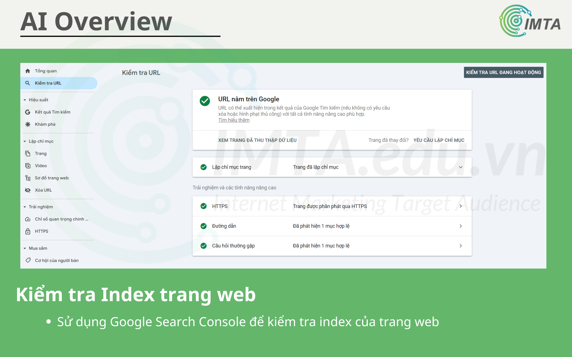 Kiểm tra Index trang web